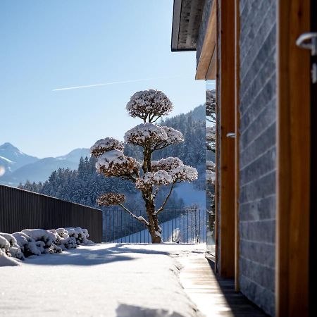 Chalet Isabella Kaltenbach Exterior photo